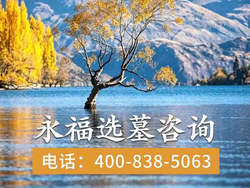 永福墓园：乡土树种种植，适配气候长效绿化环境，打造生态安息之地